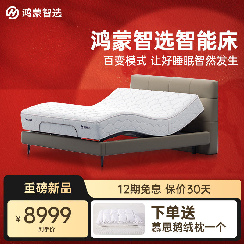 标准款床垫+电动排骨架