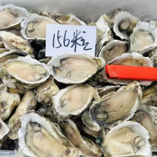 乳山生蚝液氮冻原浆半壳牡蛎水母海鲜烧烤食材不用开壳速冻锁鲜