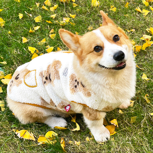 啵啵狗狗狗秋冬时尚保暖舒适