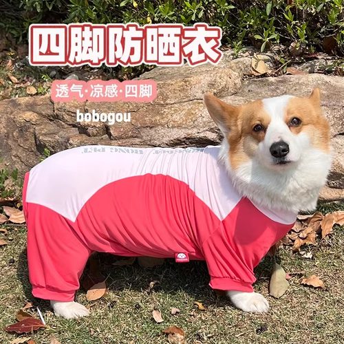 啵啵狗狗柯基柴犬中型犬四脚衣