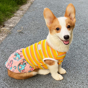 狗狗衣服秋季新款柯基裙子法斗柴犬雪纳瑞中型小幼犬可爱宠物秋冬