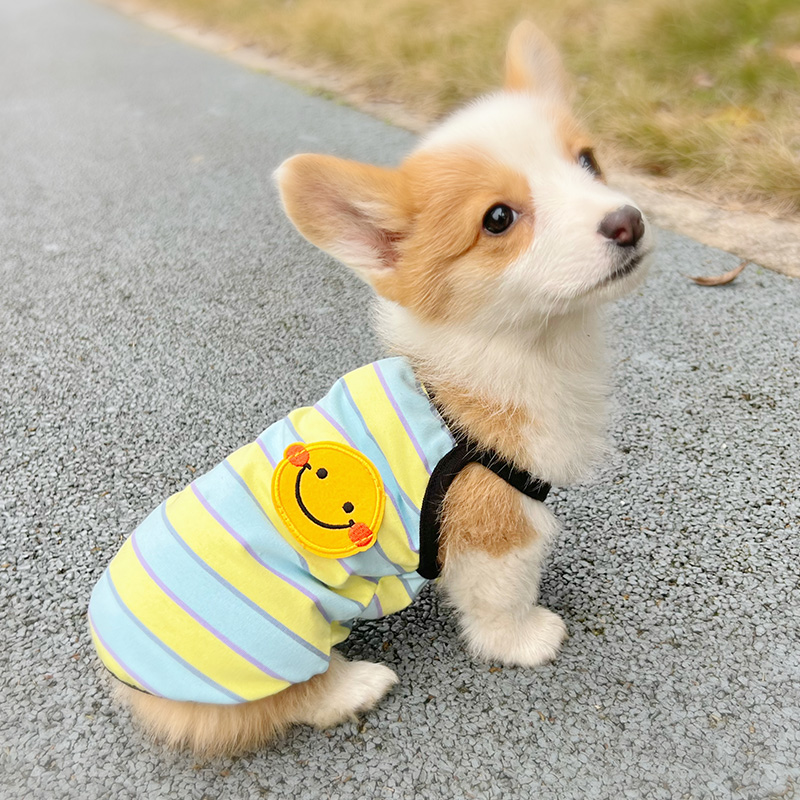 啵啵狗狗狗猫咪棉时尚透气舒适柔