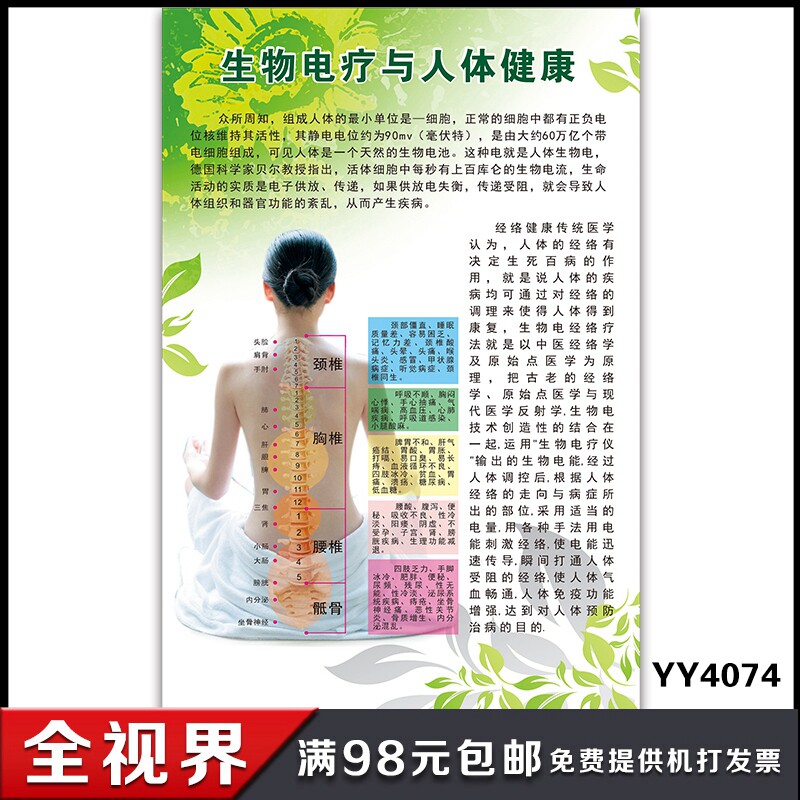 生物电疗人体健康宣传墙贴 脊椎对应症状宣传海报 中医养生挂图