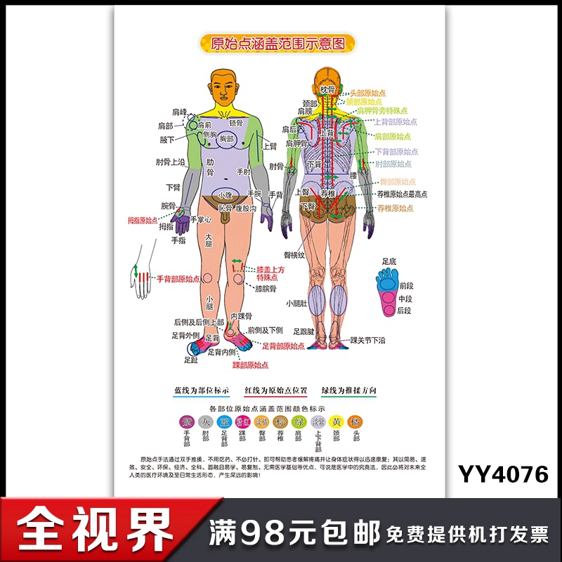 原始点涵盖范围示意图海报 人体部位原始点位置挂图 宣传画展板