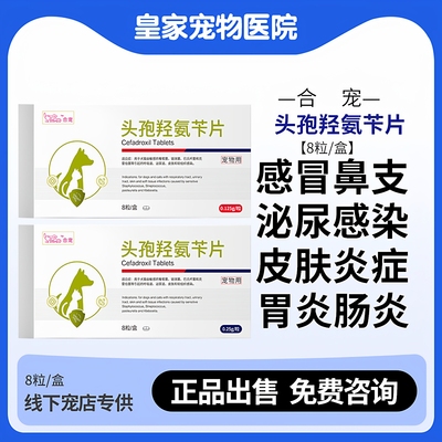 头孢氨苄片宠物狗感冒咳嗽消炎药