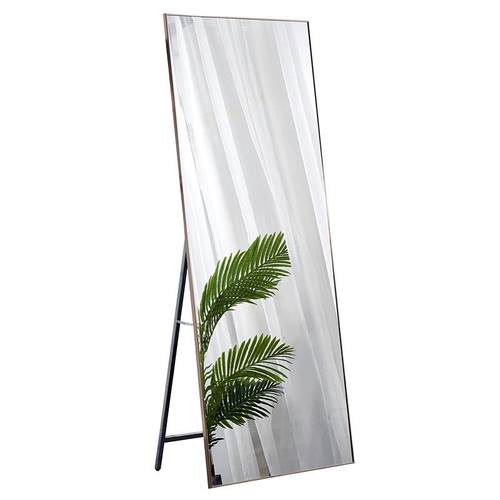 网红铝合金ins全身镜女家用落地镜卧室穿衣镜服装店试衣镜