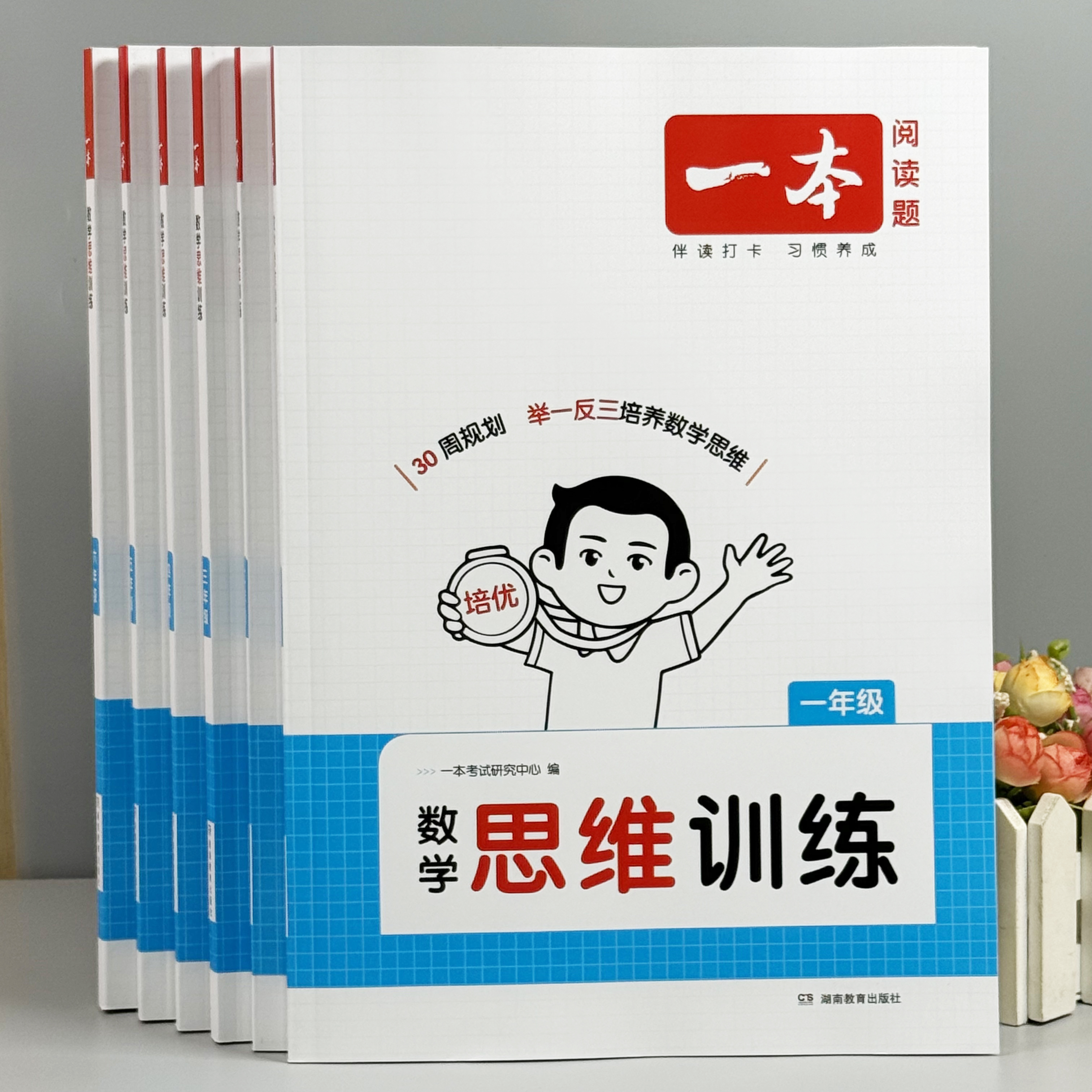 小学数学思维训练专项训练