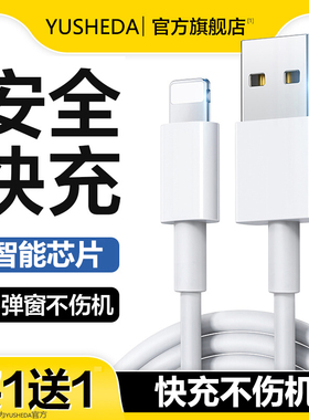 YUSHEDA适用苹果iPhone14数据线13promax12快充11手机8plus快速7加长6s闪充PD20W充电器线2米XR冲XS平板iPad