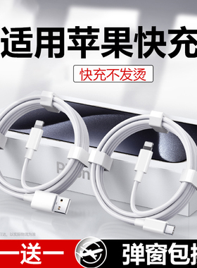 YUSHEDA适用苹果iPhone14数据线1312快充11promax手机6s快速7加长8plus闪充PD20W充电器线iPad平板2米XR冲XS