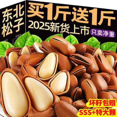 【热销10w+斤】S+特大颗东北松子