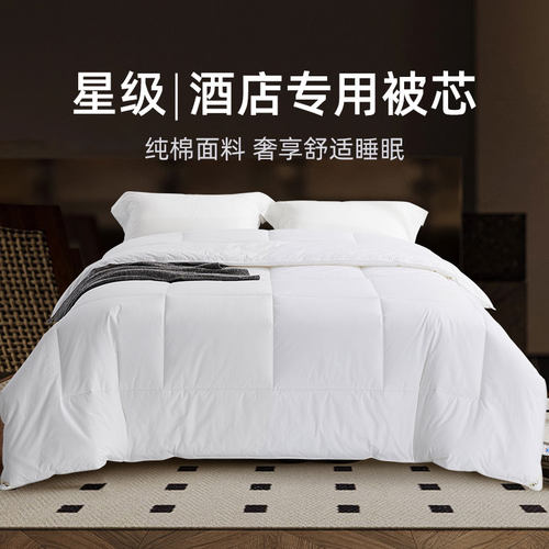 壹帛云天酒店专用纯棉被芯