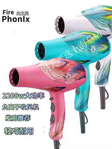 火之凤电吹风发廊家用静音