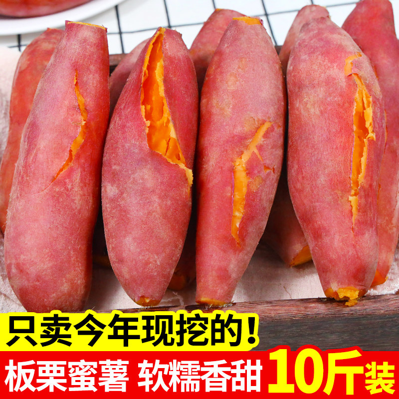 新鲜红薯板栗蜜薯10斤农家自种地瓜烟薯25号沙地糖心小山芋烤番薯