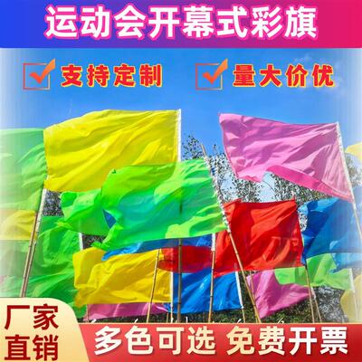 运动会入场开幕式道具学生表演手持彩旗校运会方阵进场手挥旗定制