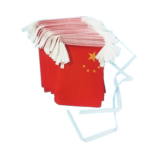 【支持定做】8号印尼串旗中国印尼混搭吊旗 波兰挂旗中国波兰混合串旗手摇旗教室装饰捷克德国各国小国旗定制