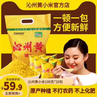 山西特产25年新沁州黄小米2千克(100克*20小包装) 小黄米五谷杂粮