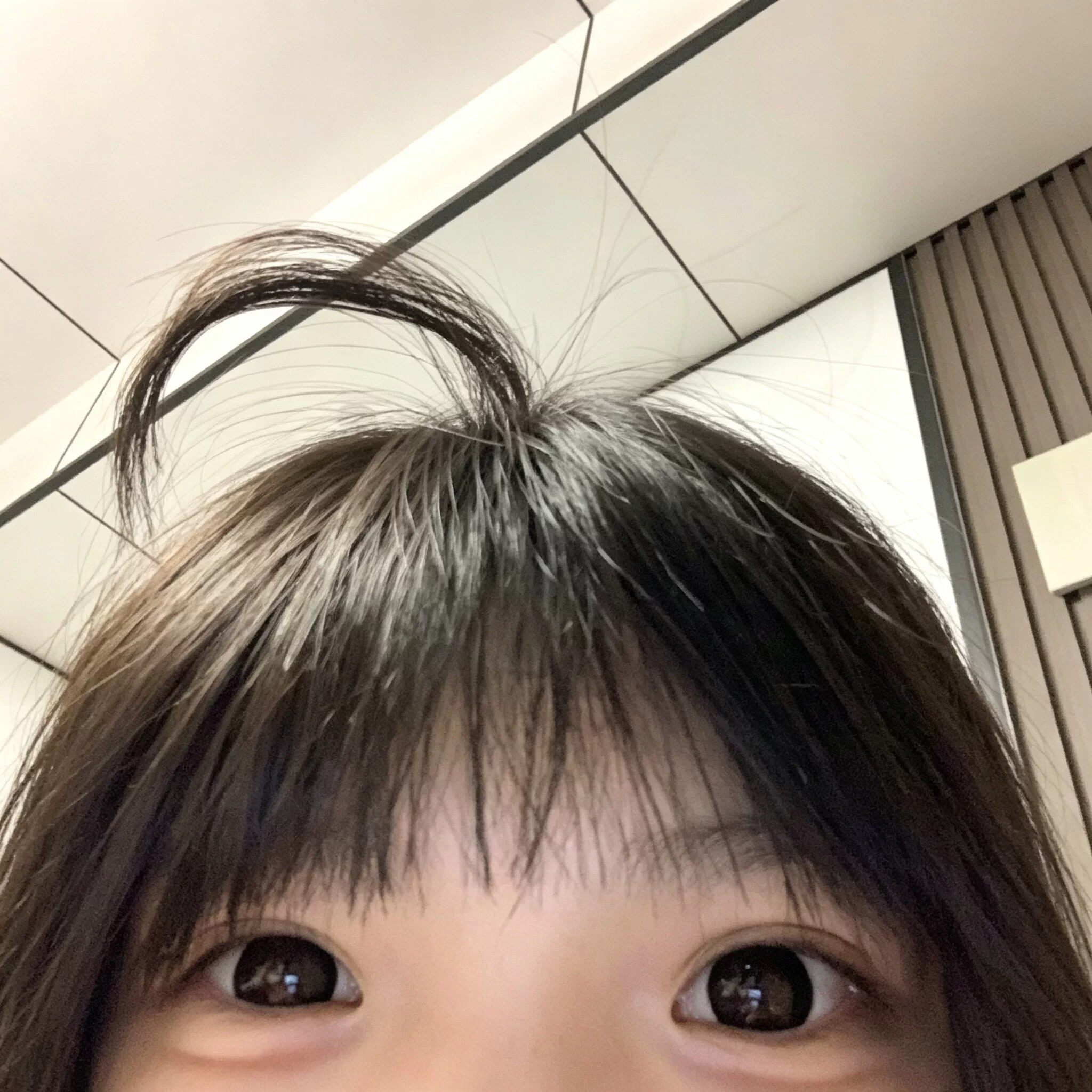 【10后新潮流】呆毛刘海仿真发夹DIY修剪学生头顶假发边夹装饰品