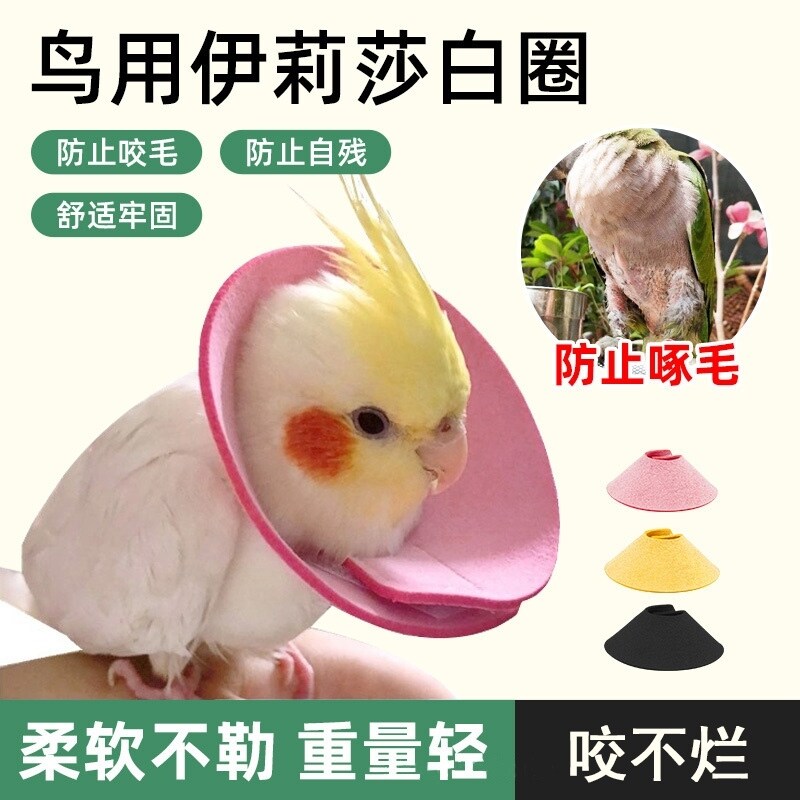 玄凤鹦鹉伊丽莎白圈保护项圈牡丹和尚防啄毛鸟用防啃咬毛脖套头套