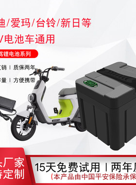 雅迪台铃爱玛新国标电动车48V20AH锂电池星恒天能同款通用锂电瓶