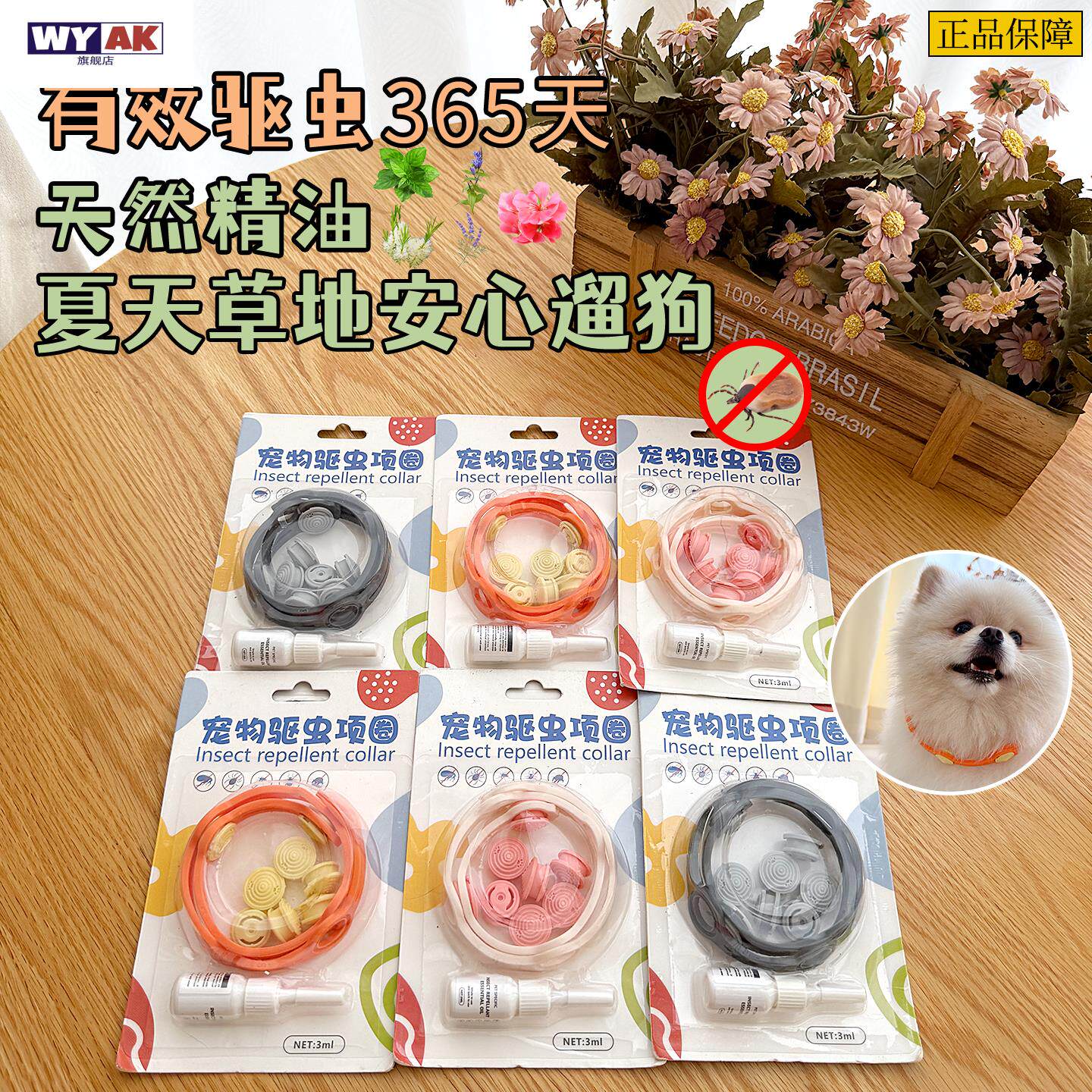 小猫驱虫脖圈猫咪项圈猫咪狗子小奶猫项圈除猫狗宠物通用