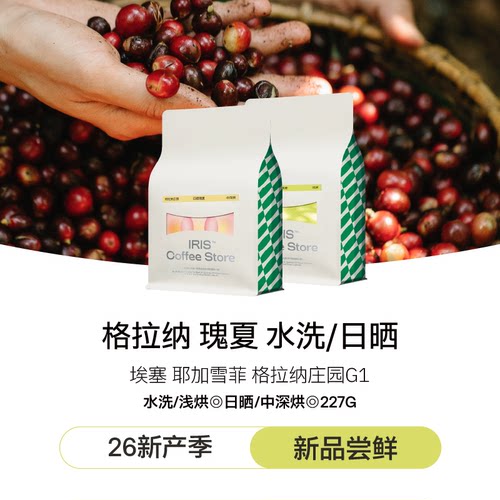 IRISCoffee埃塞瑰夏SOE