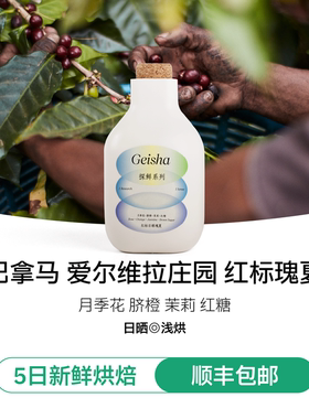 【IRIS咖啡】巴拿马红标日晒瑰夏爱尔维拉庄园精品手冲咖啡豆