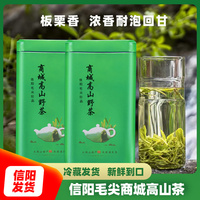 【新品种】信阳毛尖2023春茶新茶明前特级茶叶绿茶浓香耐泡嫩芽茶