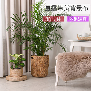 广旋直播带货简约2022新款 饰大尺寸无折痕卷发书房客厅 抖音直播背景布3D立体简约花草背景墙网红主播背景布装