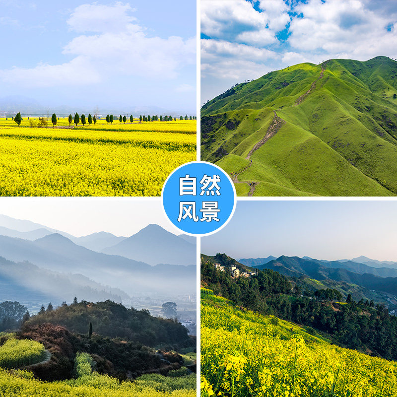 草原风景直播背景布3d立体背景墙真实主播背景布抖音直播间油菜花海网