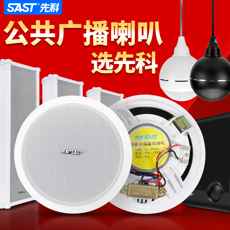 先科吸顶音响吊顶球形喇叭壁挂同轴防水户外音柱无线广播天花音箱