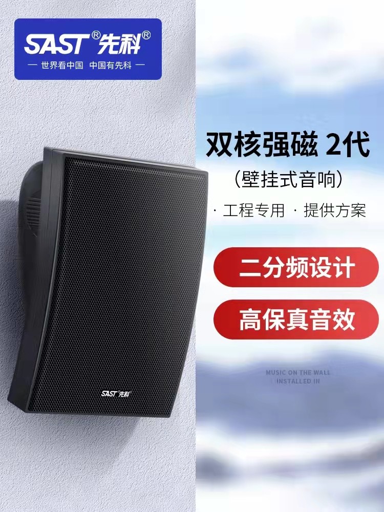 先科a6壁挂音响店铺专用无线蓝牙音箱商场奶茶店餐厅室内广播喇叭