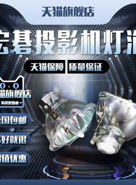 Acer宏碁/宏基PD123P/PD311/PD523/PD523C/PD523D/PD525C/PD525D/PD527/PD528投影机仪灯泡