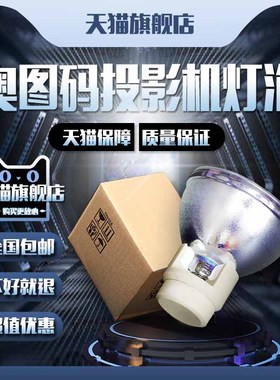 Optoma奥图码ES551/ES550T/EX550ST/EX551/EW533ST/DM13/DT342/DN342/DP3307/DS329/P774/IE973投影机仪灯泡