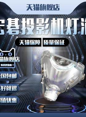 Acer宏碁/宏基7753C/7755C/VP110X/VP150X投影机仪灯泡
