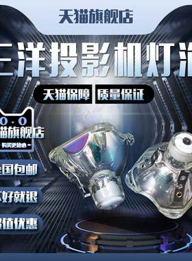 SANYO三洋PLC-XC560/XC570/XC570C/Z4/Z5/Z6/Z2000/SU2500/XE31/XE32/XE40/XE45/XL40/XL40S投影机仪灯泡