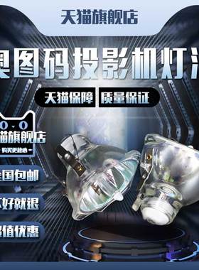 Optoma奥图码VE2ST/TS400/TX700/DS305/DS305R/DX605R/DSV0502/EP716R/EP716P/EP719P/EP719R投影机仪灯泡