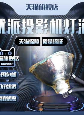 ViewSonic优派PJ510/PJ656/PJ656D/PJ658/HS200AR10-4 R50投影机仪灯泡