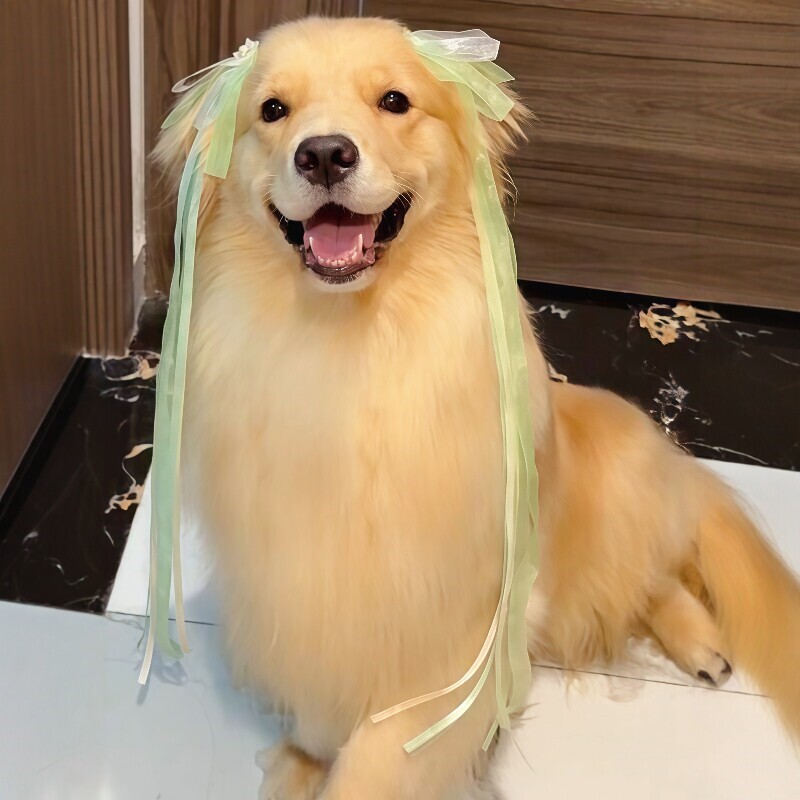 古风发夹小狗狗耳朵发饰金毛中大型犬超仙飘带可爱不夹毛宠物发