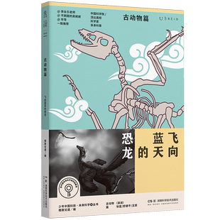 飞向蓝天 恐龙