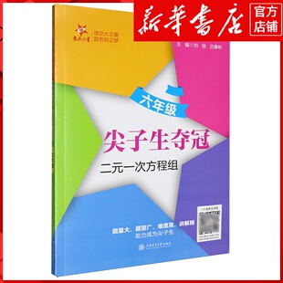新华书店正版尖子生夺冠.二元一次方程组六年级
