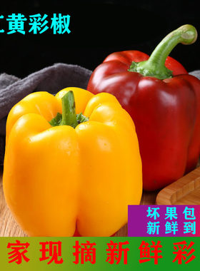 山东甜椒五彩椒红椒果蜜康