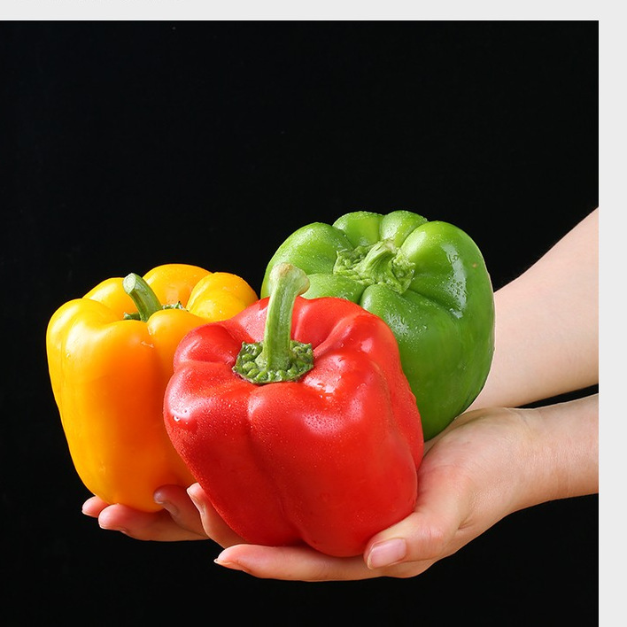 甜椒不辣五彩椒果蜜康生吃