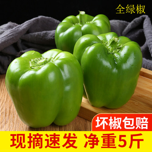 青椒5斤青椒5斤五彩新鲜果蜜康