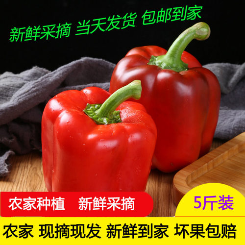 5斤灯笼辣椒果蜜康微甜不辣