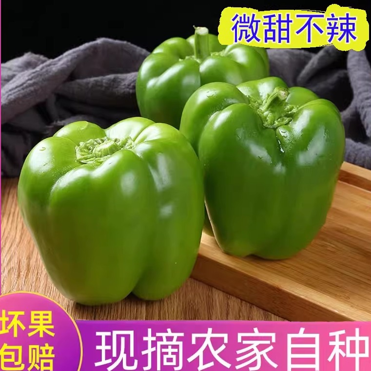 果蜜康农家自种微甜不辣的新鲜