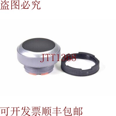 原装供应Rafi 1.30.270.021/0100,Rafix 22 FS Pulsador - 新