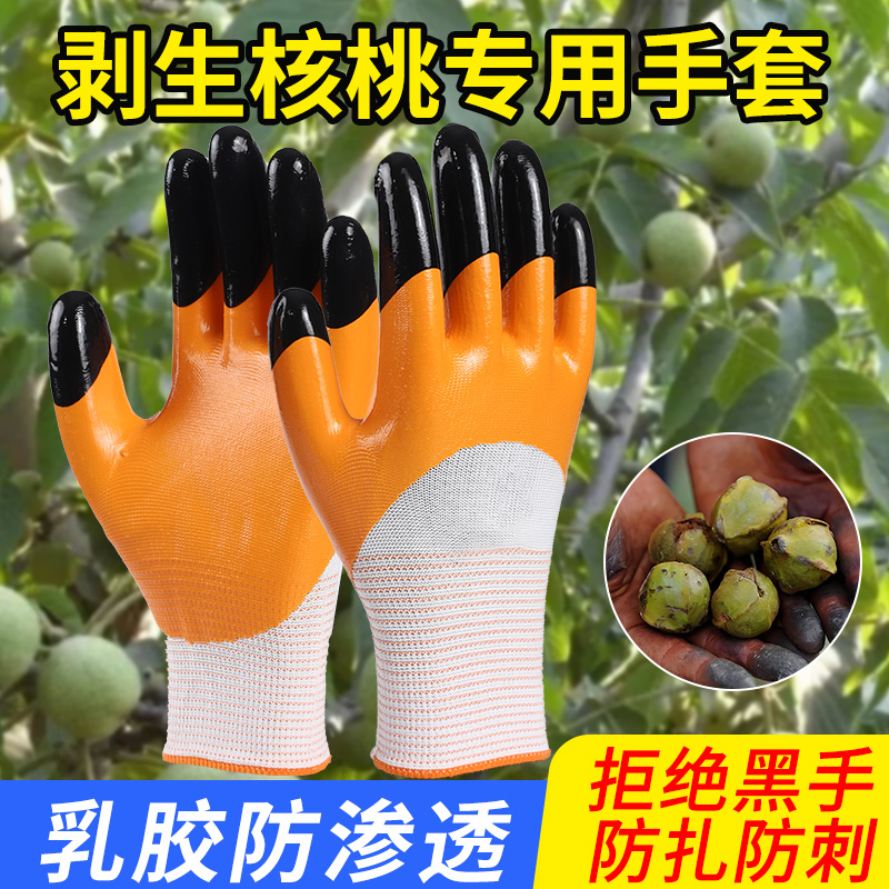 剥青皮核桃专用手套摘防刺黑手捡山核桃工具干活耐磨扒皮加厚花椒