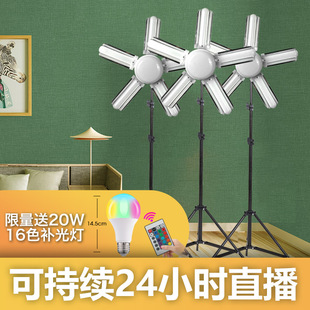 网红主播专用led拍摄直播拍照补光灯专业美颜嫩肤柔光灯箱直播间室内常亮灯打光发丝神明少女轮廓落地视频