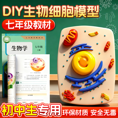 七年级初中细胞模型制作材