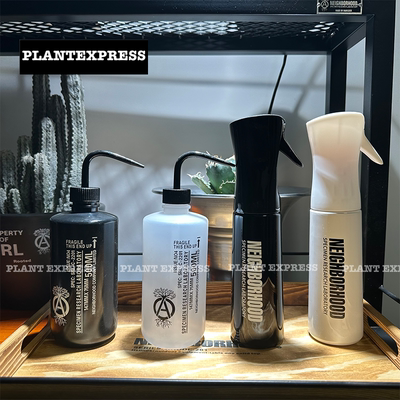 neighborhood块根植物喷壶